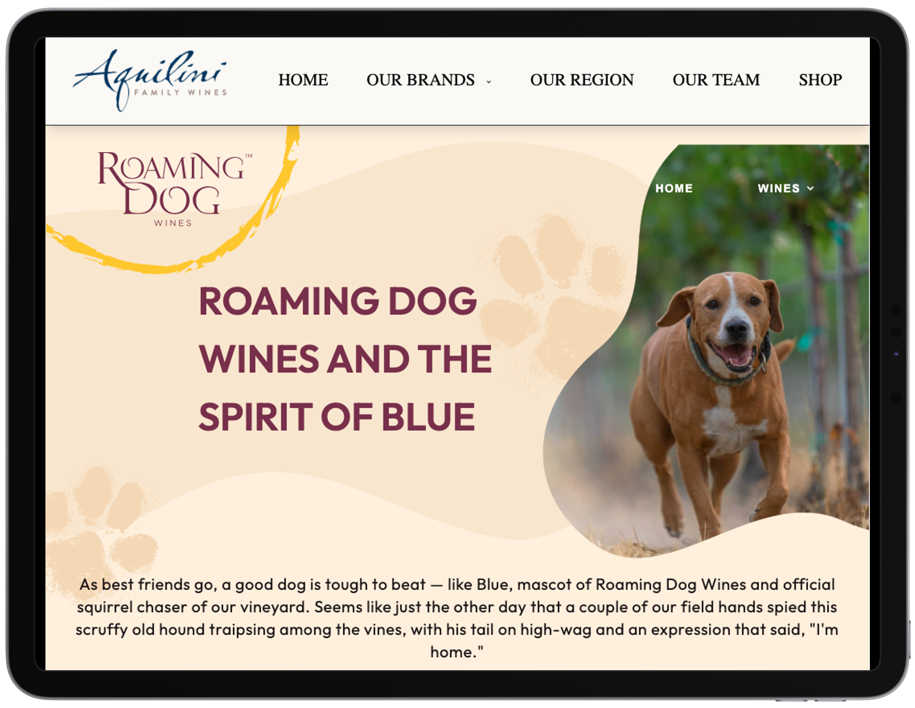 Aquilini Wines tablet view